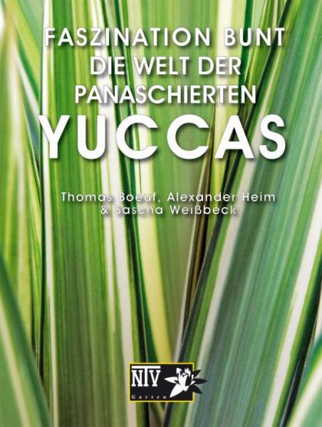 Faszination Bunt – Die Welt der panaschierten Yuccas